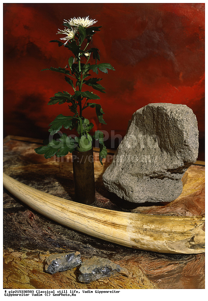 ����������, ���������, ���������, ��������, ����