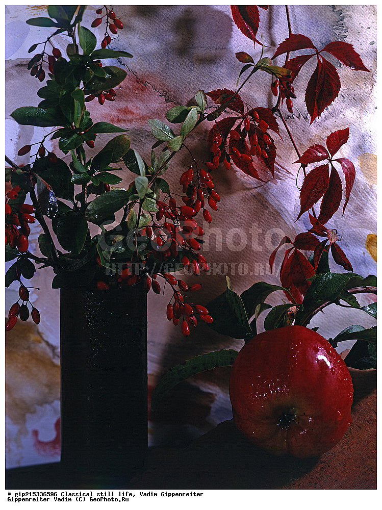 ����������, ���������, ���������, ��������, ����