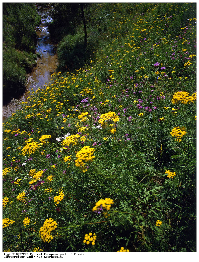 ����, ������� ������ ������, ������� ������ ����������� ����� ������, ������� ������, ������