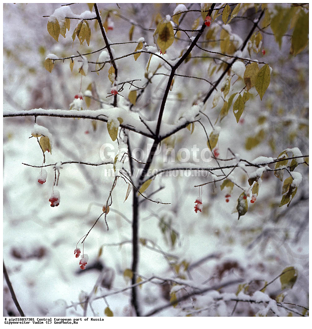 ����, ������� ������ ������, ������� ������ ����������� ����� ������, ������� ������, ������