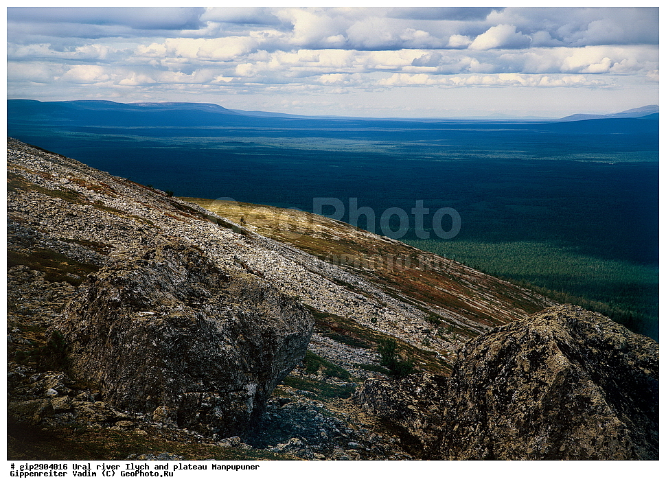 ����, ����, ����, �����, �����������