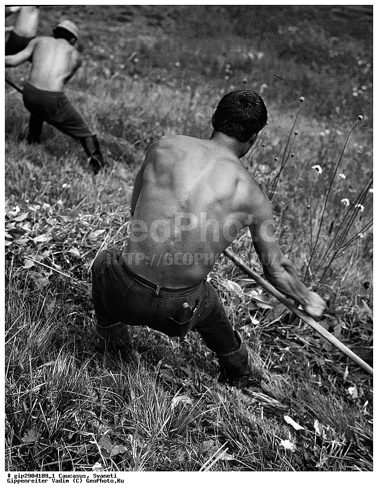 �������, �������  ���������� ������, ����, ������, ��������, �������, �������, ���������� ����