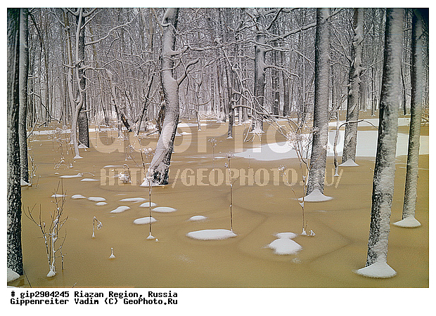 ������, ���, �������� �������, �����, ����, ����������, �����������, �������, ���, ����, ����������, ���������, ������, ����, ����� ����, �����