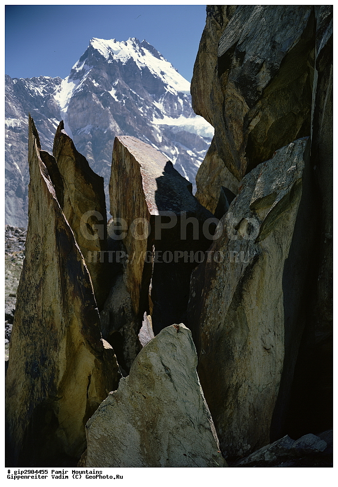 �����, ��������� ����, ����