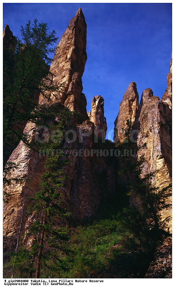 ������, ����������, ������� ������