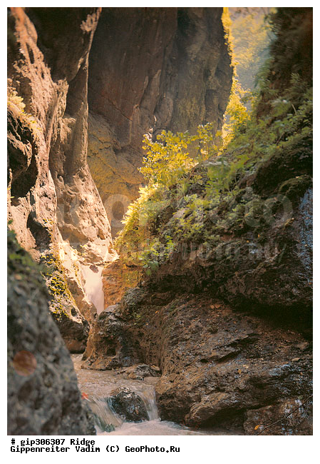 ���������-��������, ��������� ������, ����, ������, ������� ������