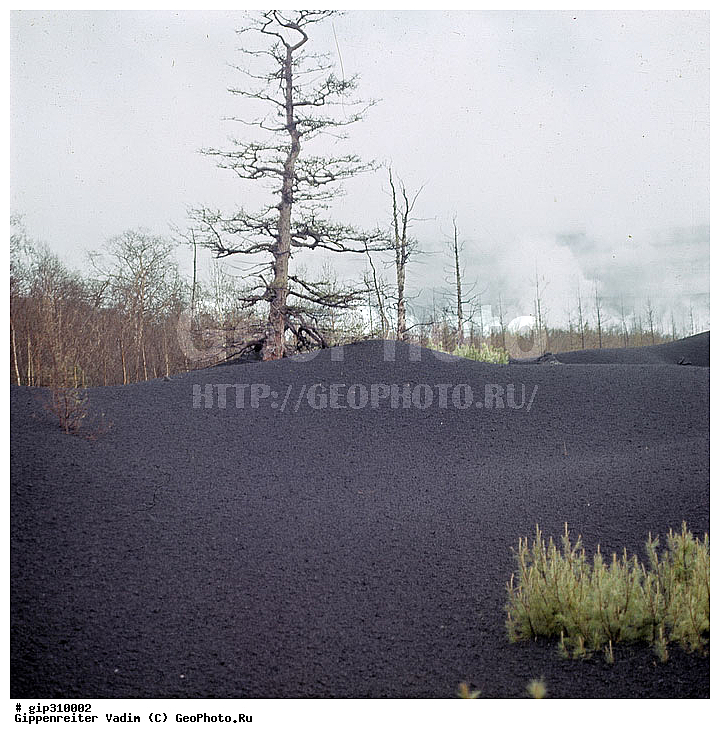 ��������, ������, ��������, ������, ���������, �������������, �����������, ����������