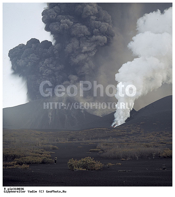 ��������, ������, ��������, ������, ���������, �������������, �����������, ����������