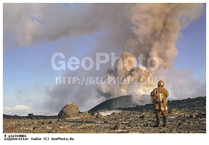 ��������, ������, ������, ���������, �������������, �����������, ����������