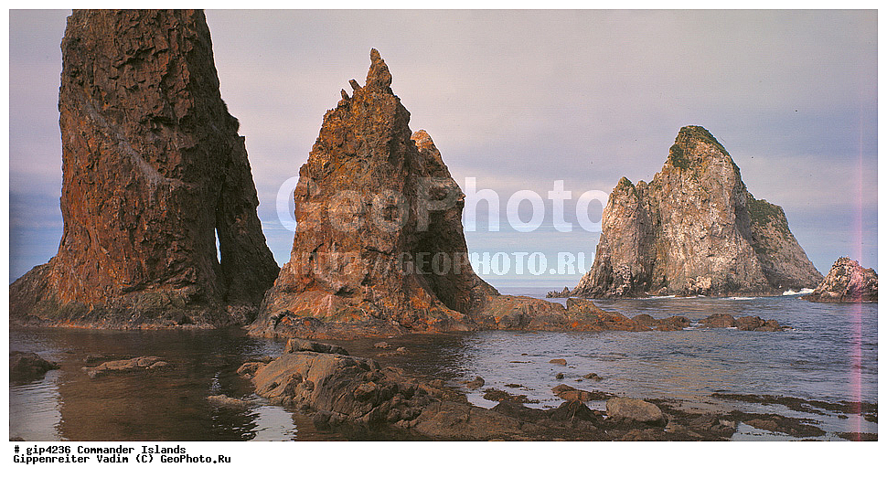 ������������ �������, �������� ����������,  1971 �, ������, ������� ������, ������ �������, ��������� ����, ���� �������, ������� � ������, ��������, ��������, ����� �����, ���������� ���� ������, ���������, ����������, ������������ ����������, ��������� ����