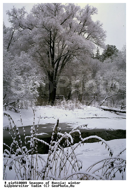 ����, ������, ������, ������� ����, ������, ����, �������������