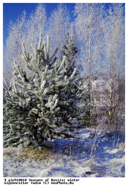 ����, ������, ������, ������� ����, ������, ����, �����, �������������