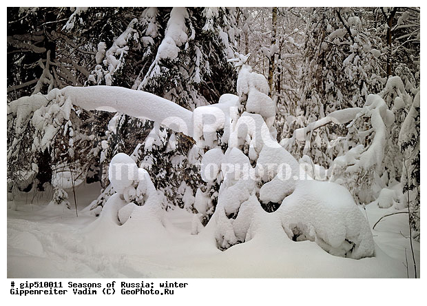 ����, ������, ������, ������� ����, ������, ����, �������������