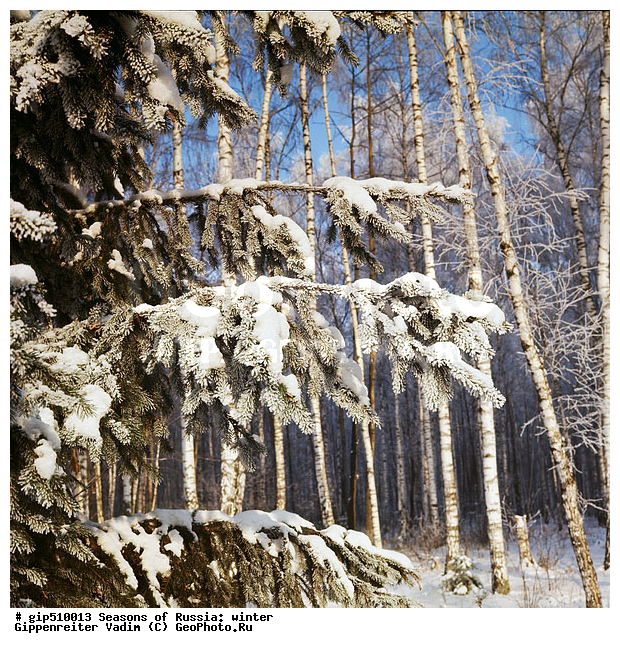 ����, ������, ������, ������� ����, ������, ����, �������������