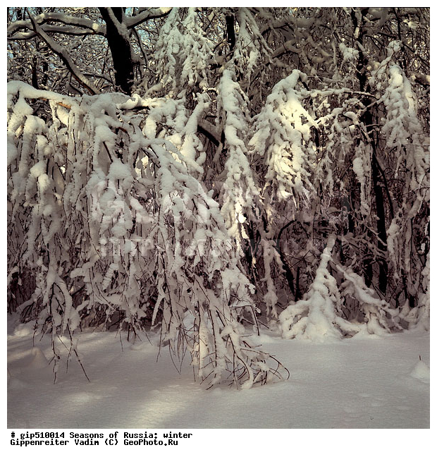 ����, ������, ������, ������� ����, ������, ����, �������������