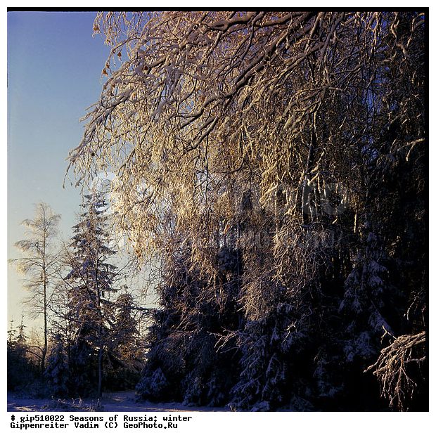 ����, ������, ������, ������� ����, ������, ����, �������������