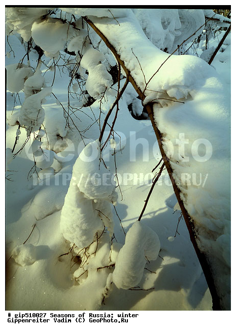 ����, ������, ������, ������� ����, ������, ����, �������������