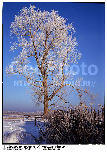 ����, ������, ������, ������� ����, ������, ����, �������������