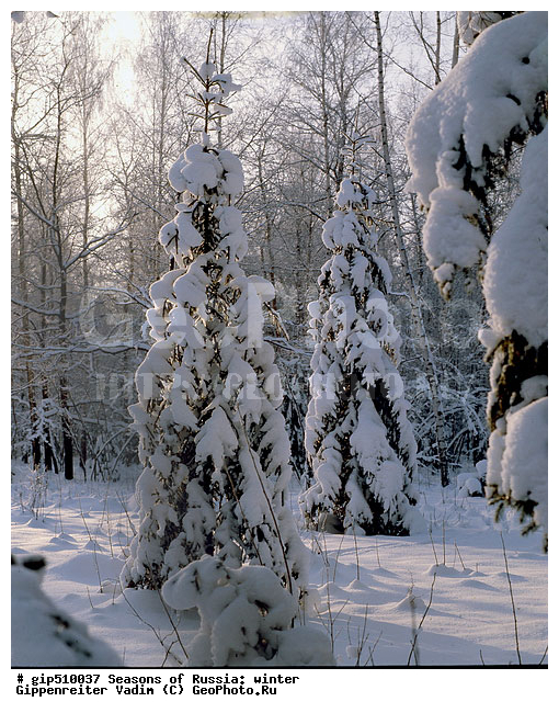 ����, ������, ������, ������� ����, ������, ����, �������������