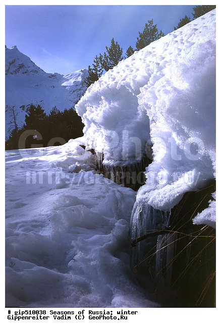 ����, ������, ������, ������� ����, ������, ����, �������������