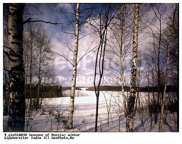 ����, ������, ������, ������� ����, ������, ����, �������������