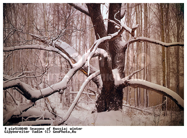 ����, ������, ������, ������� ����, ������, ����, �������������