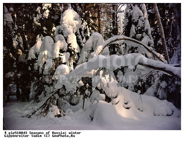 ����, ������, ������, ������� ����, ������, ����, �������������