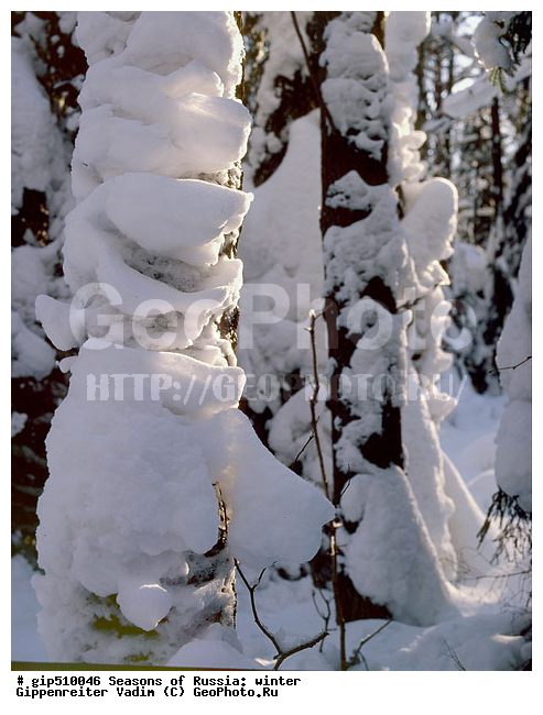 ����, ������, ������, ������� ����, ������, ����, �������������