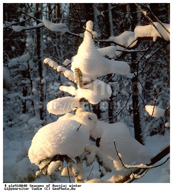 ����, ������, ������, ������� ����, ������, ����, �������������