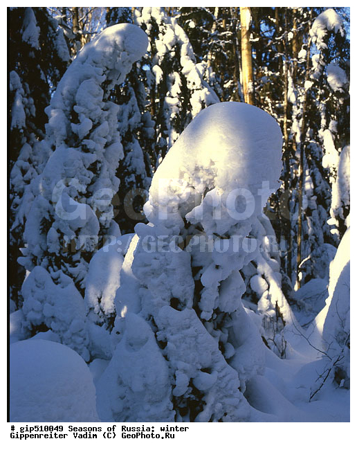 ����, ������, ������, ������� ����, ������, ����, �������������