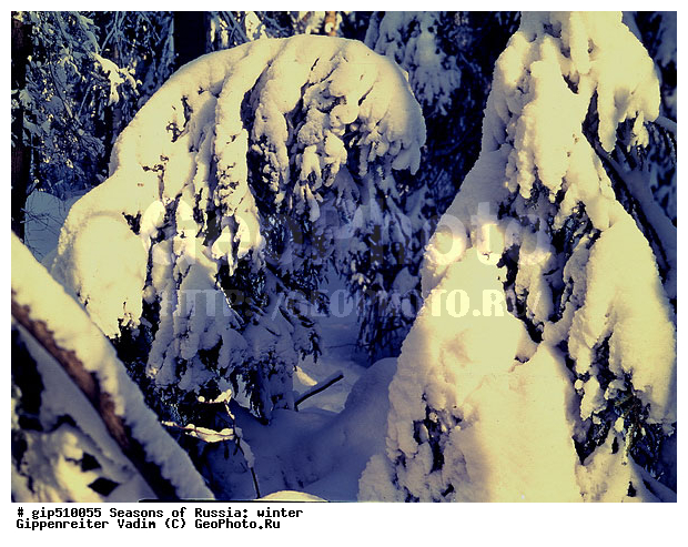 ����, ������, ������, ������� ����, ������, ����, �������������