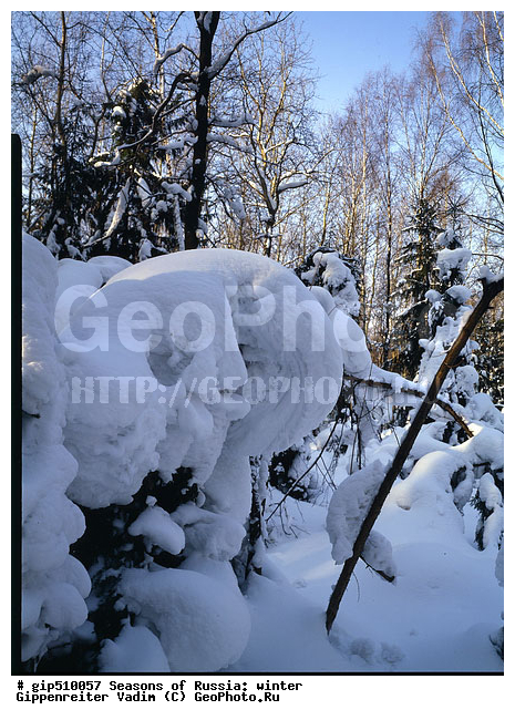 ����, ������, ������, ������� ����, ������, ����, �������������