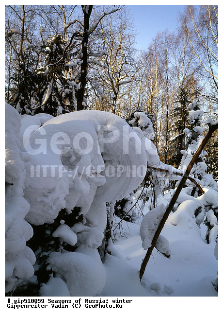 ����, ������, ������, ������� ����, ������, ����, �������������