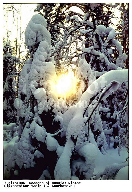 ����, ������, ������, ������� ����, ������, ����, �������������