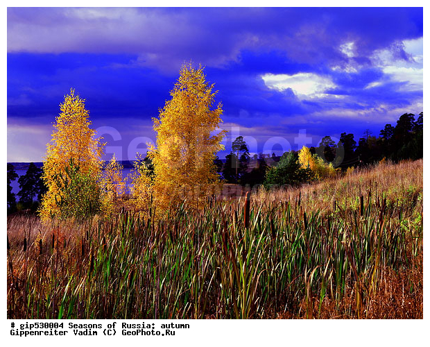 ������, ������� ����, ������, ������� �����, �������, �����, ������, �������������