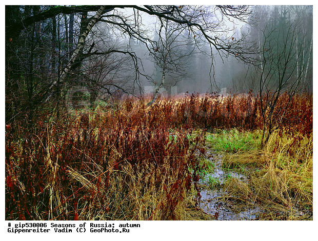 ������, ������, ������� ����, �������, �����, ������, �������������