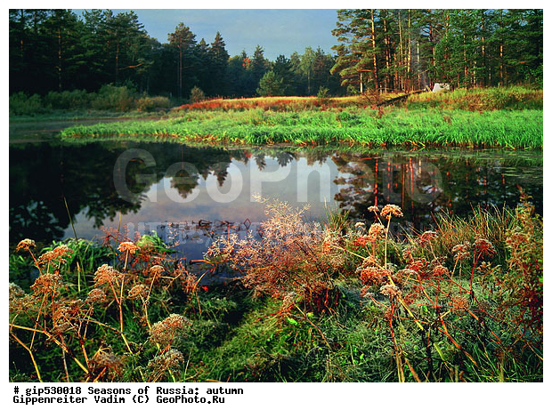 ������, ������� ����, ������, ����, �������, �����, ���������, ������, ����, �������������