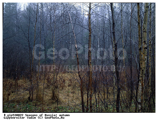 ������, ������� ����, ���, �������, �����, ������, �������������