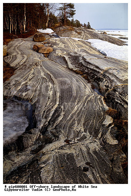 ����� ����, �����, ����� ����, ��������, ����, ������