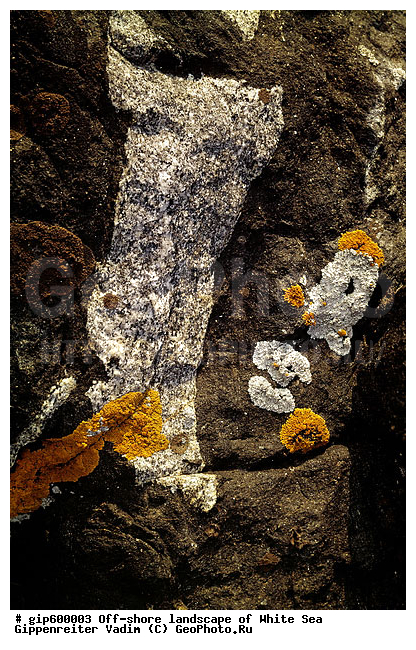 ����� ����, �����, ����� ����, ��������, ����, ������