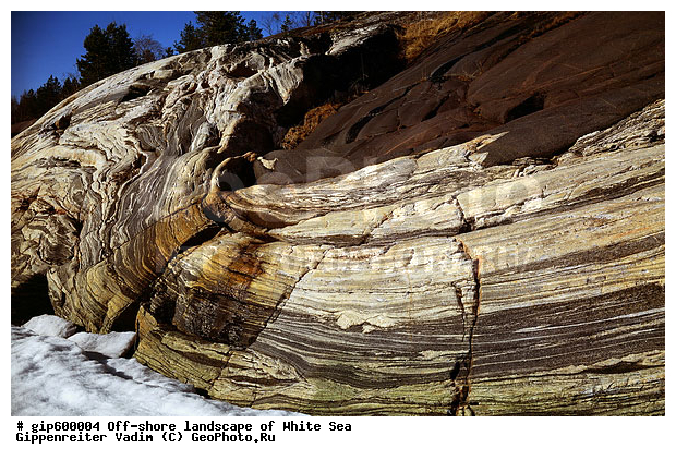 ����� ����, �����, ����� ����, ��������, ����, ������