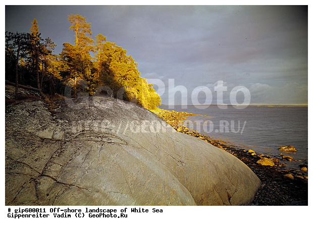 ����� ����, �����, ����� ����, ��������, ����, ������