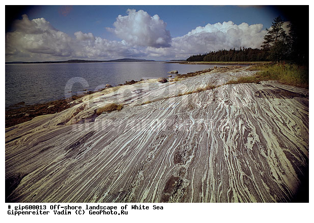 ����� ����, �����, ����� ����, ��������, ����, ������