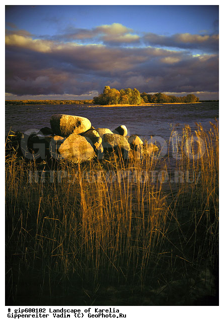 ����� ����, �����, ����� ����, ��������, ����, ������