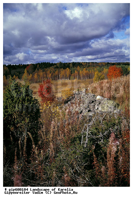 ����� ����, �����, ����� ����, ��������, ����, ������