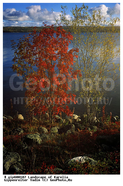 ����� ����, �����, ����� ����, ��������, ����, ������