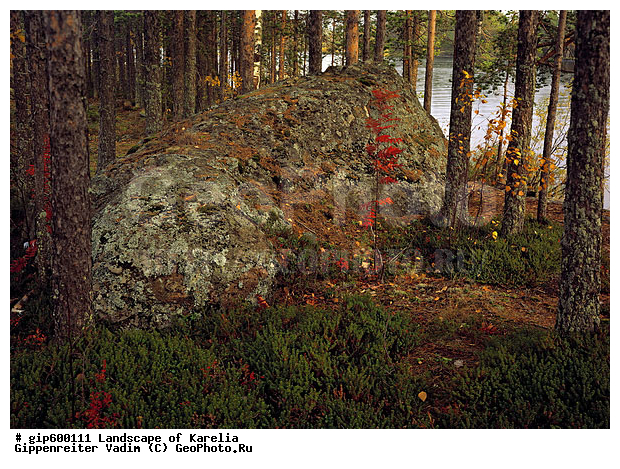 ����� ����, �����, ����� ����, ��������, ����, ������