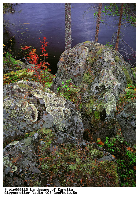 ����� ����, �����, ����� ����, ��������, ����, ������