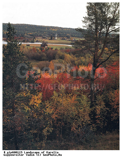 ����� ����, �����, ����� ����, ��������, ����, ������