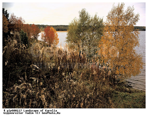 ����� ����, �����, ����� ����, ��������, ����, ������